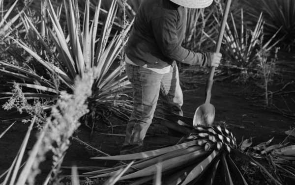 1200x800_L7A 1200x800_L7A